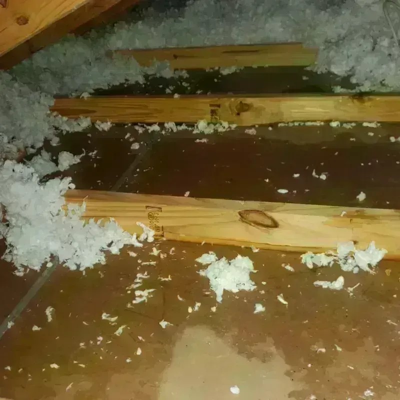 Attic Water Damage in North Apollo, PA